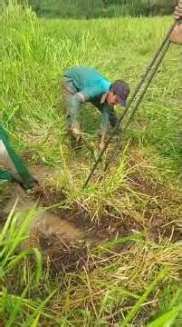 swamp monster rampage.?