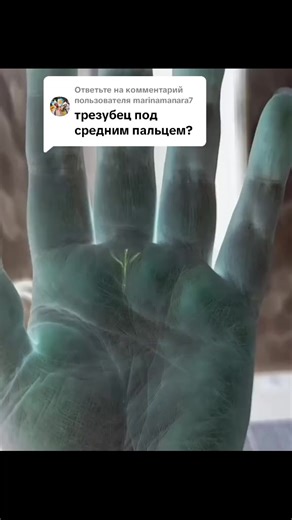 Understanding Chiromancy: A Guide to Palm Reading