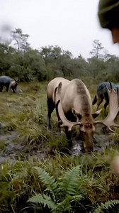 540K views · 11K reactions | The creatures from beyond the wall.  #fiction #entertainment #scifi #sciencefiction | Theories of AI | Facebook