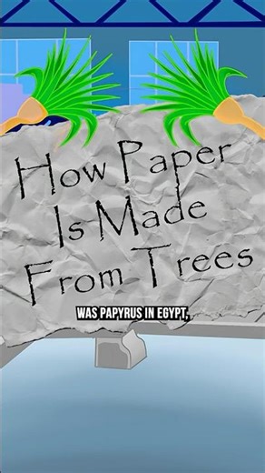 How Trees Become Paper #shorts