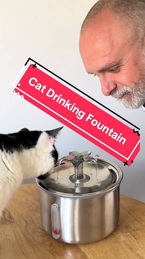 Cat Water Fountain. Stop worrying if your cat drinks enough. #catwaterfountain #cathydration #catlovers #catparents #petproducts #coolpetgadget #cathealth #catlife