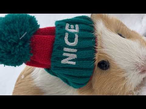 Red Brick x8 Stud Unlock Lego DC Supervillains