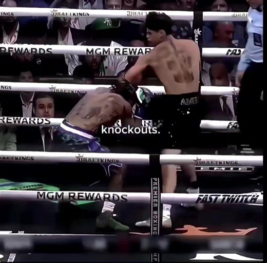 TANK #boxing #knockouts