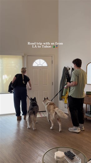 Hilarious Moments from Our Road Trip Adventure