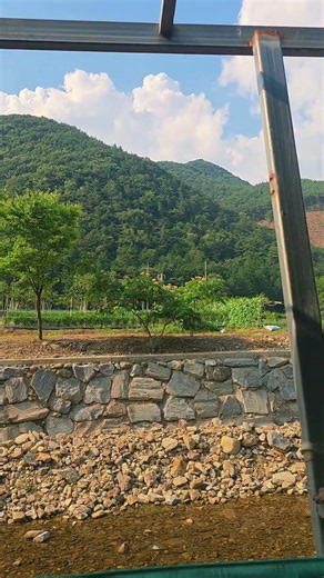 롤러올래 양사장 휴무날. 담양용흥사계곡 백숙 🐔 #롤러올래롤러장 #광주롤러장 #용흥사계곡 #담양 #담양계곡 #담양백숙 #담양맛집