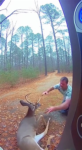 Exploring Unique Hunting Experiences in the Outdoors