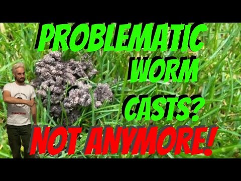 How to stop worm casts ruining your new lawn.