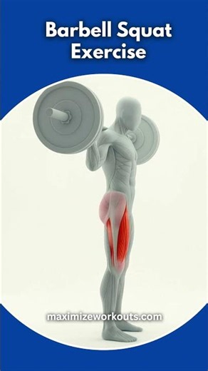 How To Do Barbell Squats Workout Using The Right Squat Form 💪