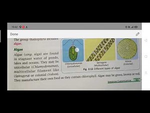 Class 7/Chapter 2/Kingdom Classification/Part 4