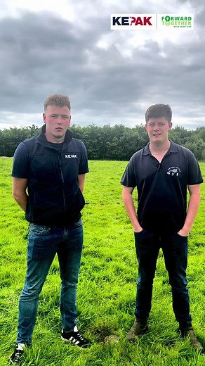Meet Young Sheep Farmer Paddy White from Co. Longford