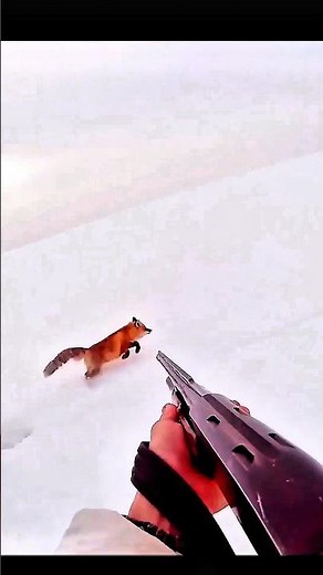 Professional Rabbit Hunting Techniques in the Field #RabbitHunting #HuntingAdventure #WildHunt