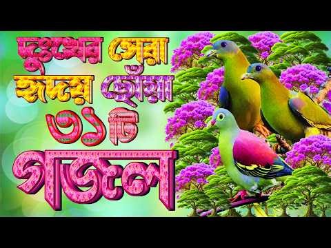 হৃদয় স্পর্শী মরমী ৩০টি গজল, বাছাইকৃত গজল, Selected Gajal, New Gazal, Bangla Islamic Gojol,Ghazal