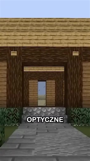 Najlepsze iluzje optyczne w Minecraft