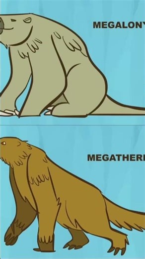 Megalonyx vs. Megatherium @patrickbell7035