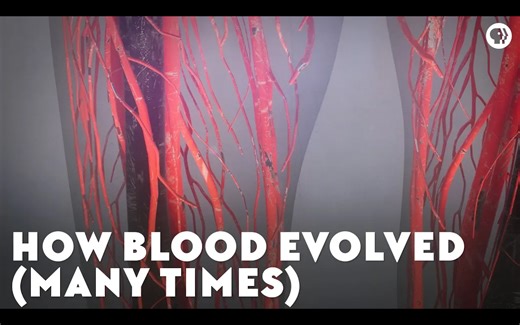 [中配]血液如何多次进化？ - PBS Eons