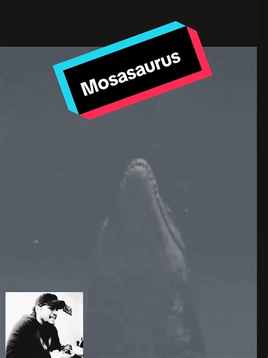 Mosasaurus: The Giant Marine Reptile Explained