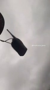 6.3K views · 3.2K reactions | Como diz o ditado: Troca a cueca e lida que segue O cara tem que ter sangue frio na caçada!! . . #brutosdojava | Brutos Do Java | Facebook