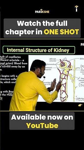 💥 Internal Structure of Kidney | Excretory Products & Elimination | 1st PUC Biology | In Kannada