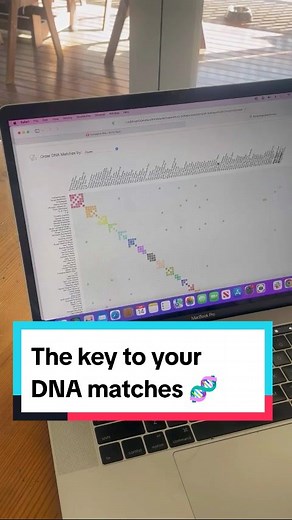 AutoClusters: Domina tus coincidencias de ADN