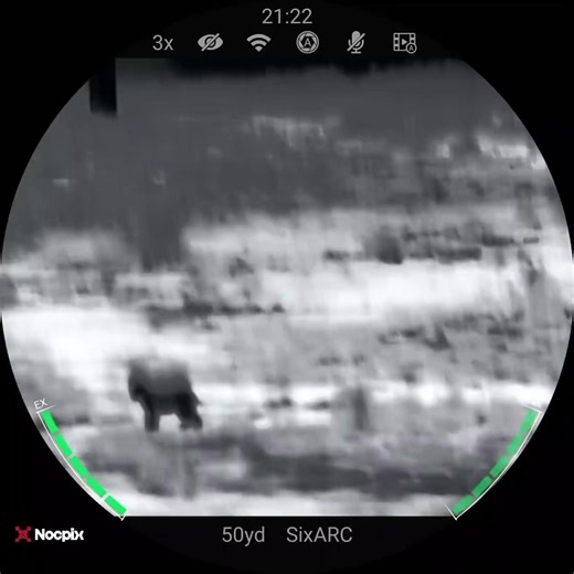 Little South Texas Warmup with FOXPRO Game Calls