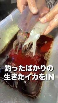 釣った瞬間即沖漬け！獲れたて新鮮でうま過ぎた！