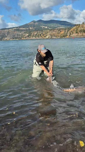 Killer day fishing with Mitch Waker🤙we landed over 30 fish total today ! Had a absolute blast!! | Michael Masterson