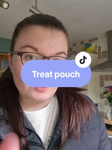 My favourite treat pouch for training #dogsoftiktok #dogwalk #dogtraining