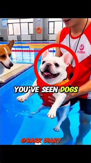 The world's first 'Gas-Powered' Dog! 💨🐶 (Wait for the underwater shot)#cutedog #funnydogs