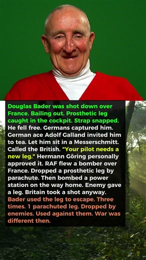German Enemy Parachuted a Spare Leg to the British Pilot He Shot Down
