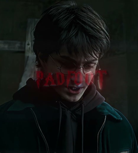 "Padfoot" || Sirius Black Edit || poster boy
