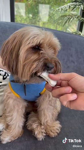 I SPENT LIKE $2000 ON THIS