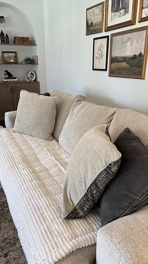51K views · 3.2K reactions | A couch cover that doesn’t look like a sheet that’s covering your couch? ✔️I love that this one looks nice + comes in a bunch of colors. It also is easy to throw in the wash! From someone with two pets and two kids our couches do not stand a chance 﫣 Comment “COVER” and I’ll send you the link! It also comes in a bunch of sizes! | Tnstyled | Facebook