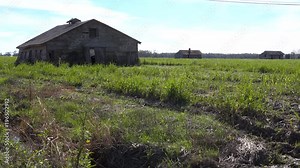 Wooden cabins used by slaves still stand on a plantation in the deep south.