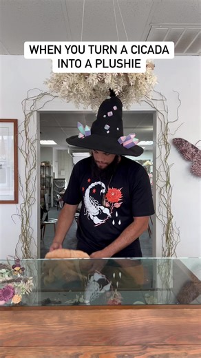 26K views · 1.2K reactions | The two-in-one cicada plushie features the insect in two separate stages, with the adult cicada molting from its previous shell 練 What do you think?! ——#cicada #insects #plushie #scienceart #scienceartist #kidstoy #artsupplies #stuffedtoy #insectlovers | Tyler Thrasher | Facebook