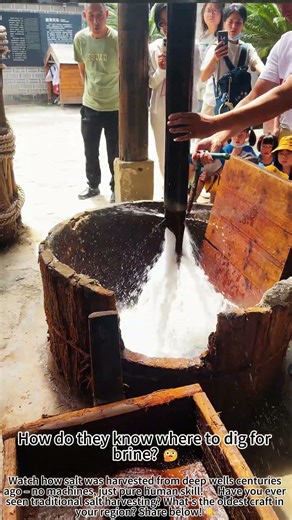 Harvesting well salt ancient traditional way 🧂