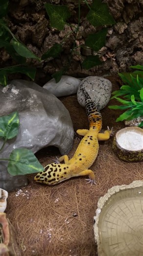 A new house.#travel #nature #black sea #sunny beach #Moskow #sea #romantic #animals #pets