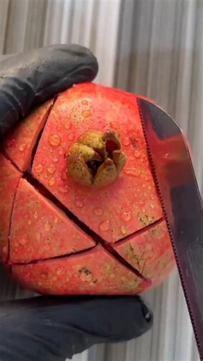 #amazing #satisfying #cuttingsounds #fruitcutting #food #shortvideo #yummy #crunchandcutsounds
