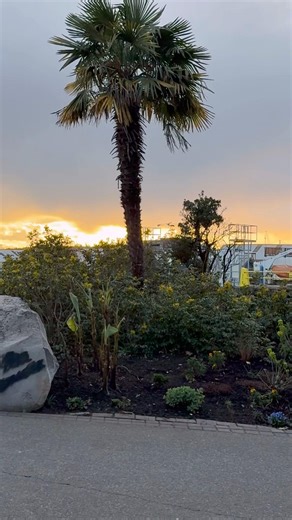 Day 3 with nature 🌳