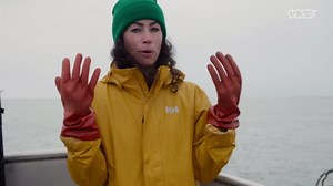 Alaskan salmon fishing: a coho cooking adventure