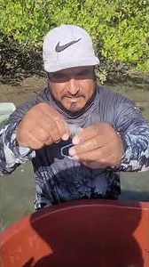This is how you eat a shrimp fresh out of the sea 🌊 #fishing