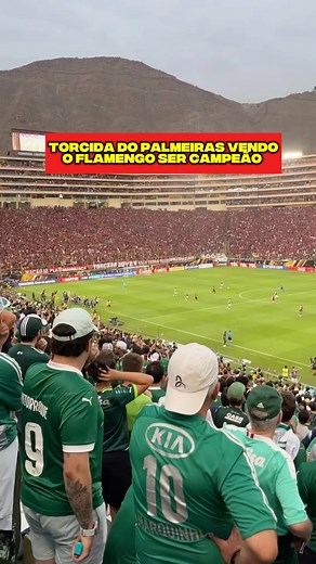 Palmeirense chorando com o Flamengo campeão, muito bom 🤣 #flamengo #palmeiras #shorts