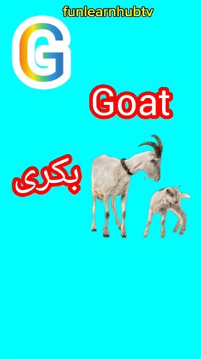 ABC Learning for | Alphabet Song | #Education #AlphabetLearning #PreschoolLearning#viral#shorts