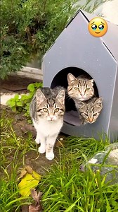 کپی خودش به دنیاااا اورده 😭🥹