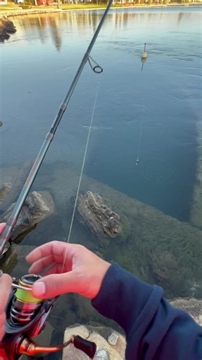 Bream Fishing in Adelaide: Tips and Techniques