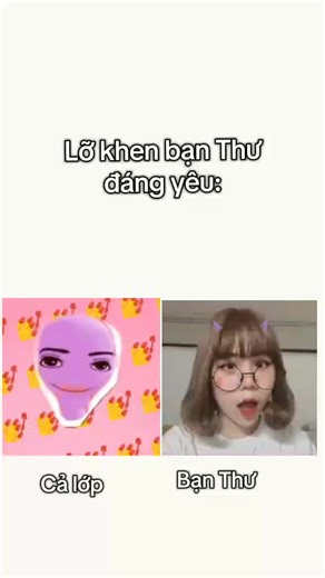 Mèo Simmy và những câu chuyện đáng yêu