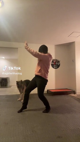 Dancing Dog Shows Incredible Moves and Tricks