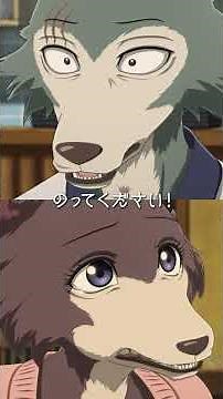 「異種族恋愛の大先輩」/アニメ『BEASTARS FINAL SEASON』#7 僕の誓いを食べて