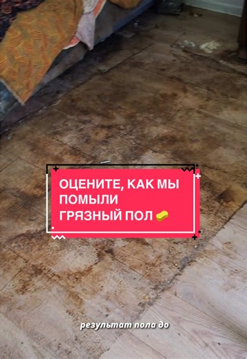 Уборка в зоопарке квартиры пенсионера в Москве