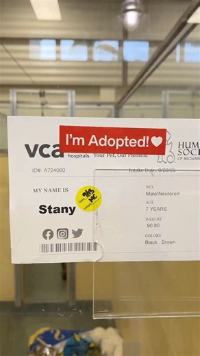 His sad video captured the hearts of thousands, but now he’s been adopted!! 🙏❤️