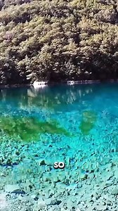 Presented by Mahalia Davis Rotomairewhenua / Blue Lake This lake is confirmed to have the clearest natural fresh water in the world with a depth of 23ft.😛 #newzealand #bluelake #nature #clearwater #leomike Video by Leo Mike | Caribbean Delights